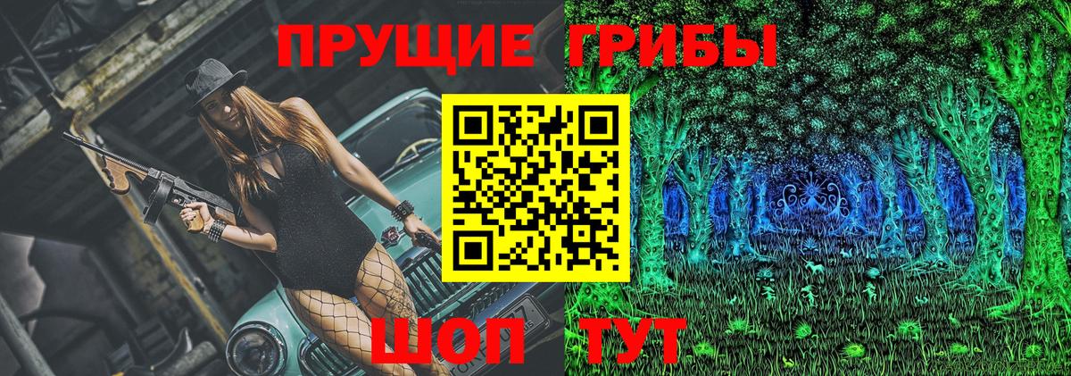 Павлово  Псилоцибиновые грибы MAGIC MUSHROOMS  Псилоцибиновые грибы Psilocybine cubensis  Вход с VPN 